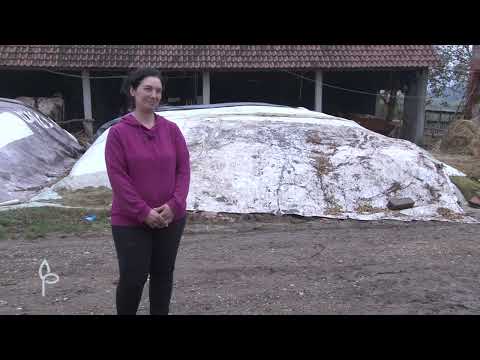 Ulog za profit ep. 59 30.11.2020. Stočrstvo, prerada kajsije