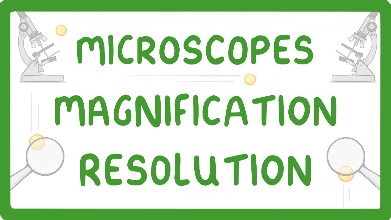 GCSE Biology - What is Microscopy? #5