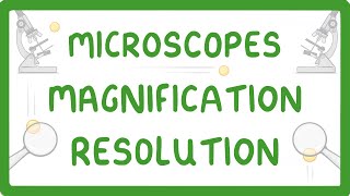GCSE Biology - What is Microscopy? #5