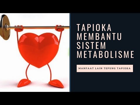 Makanan Cina untuk menurunkan berat badan Kelebihan berat badan anak laki-laki 10 tahun