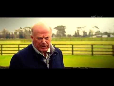 AP McCoy: A Legendary Career