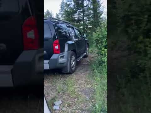 video of area