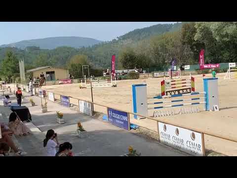 Etoulon x Animo - Kwpn 7 yo clas Galician Championship 2020