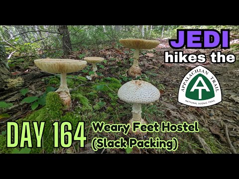 AT2022.Day.164: Weary Feet Hostel (slack packing)