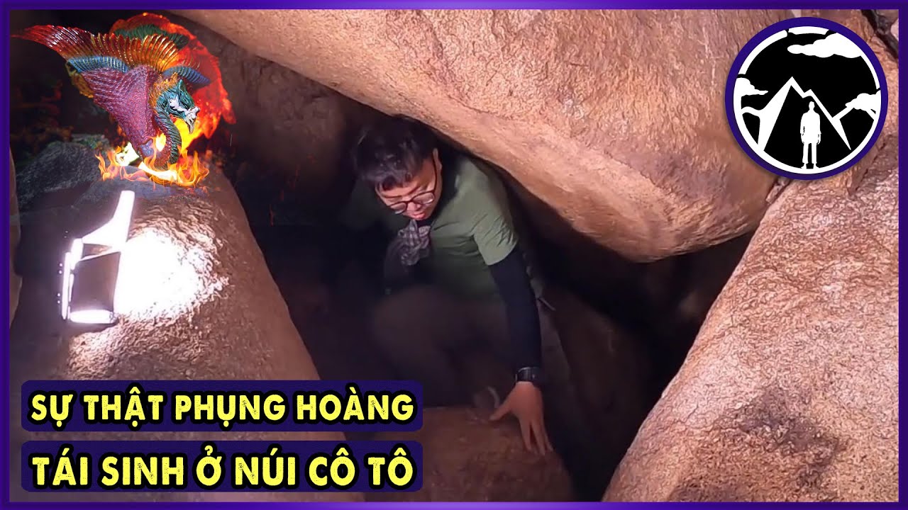 Chim Phụng Hoàng Thật Sự Có Tái Sinh tại Phụng Hoàng Sơn không??? l Văn Hoá Tâm Linh