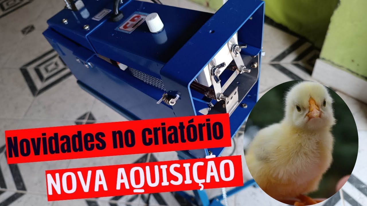 Máquina de Debicagem Com o melhor custo benefício,Debicador para pintaínhas!
