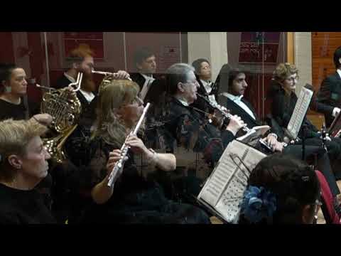 Mozart Symphony No.31 - Dr Brian Chatpo Koo Western Sydney Symphony Orchestra