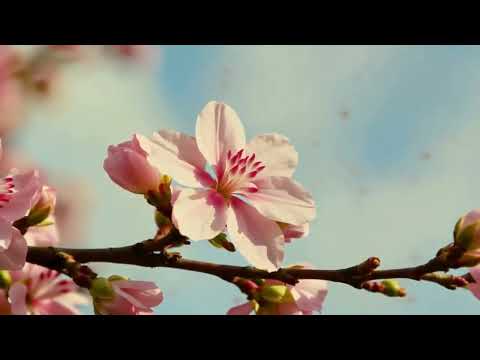 Process Server vs Sheriff Oklahoma (Which Is Better 2026)