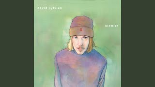 The Heart Knows Better