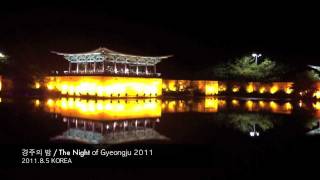 preview picture of video '경북 경주의 밤 / The night of Gyeongju(Anapji) 2011'