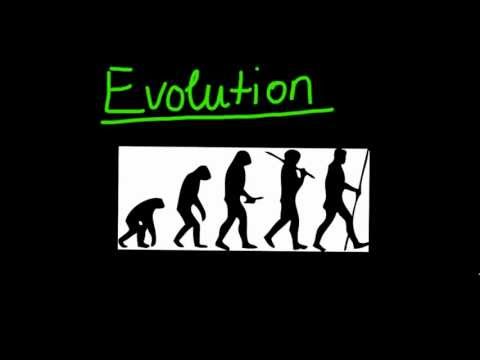 Einführung in die Evolution und die natürliche Selektion - Biologie