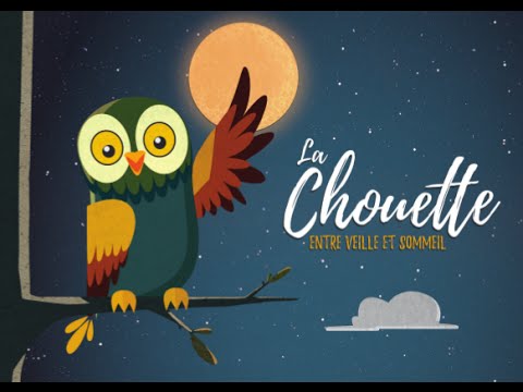 La Chouette entre veille et sommeil Cinéma Public Films / Les Films du Nord / La Boîte