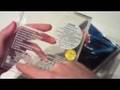 Minority Report Limited Edition First Pressing R3TW