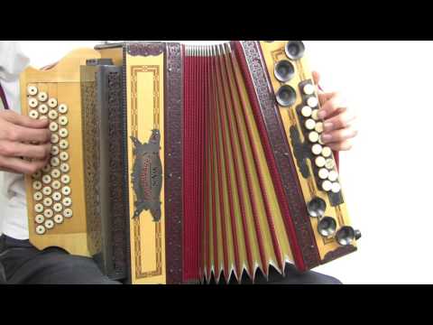 Ziachfuchs  "Am Hausberg"