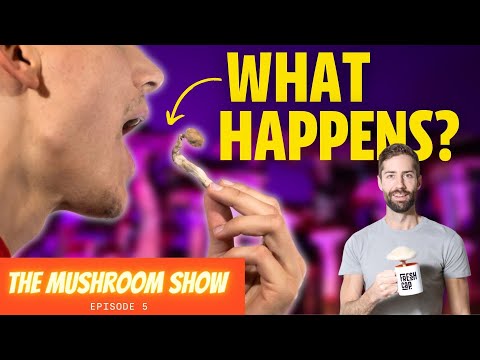Do All Magic Mushrooms Have The Same Effect? (The Mushroom Show EP 5)