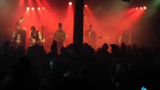 Demented Scumcats - Dream Space Baby