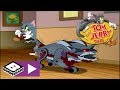 Tom And Jerry Tales Tom S Robotic Replacement Nightmare Boomerang UK