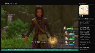 DQ11Sを初見プレイ番外編　レベル上げ
