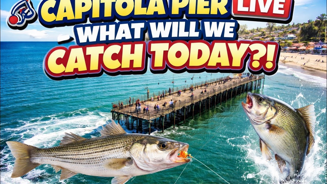  Capitola Pier LIVE – What Will We Catch Today?!