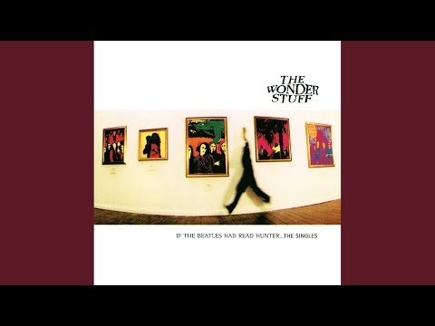 It's Not True. - The Wonder Stuff