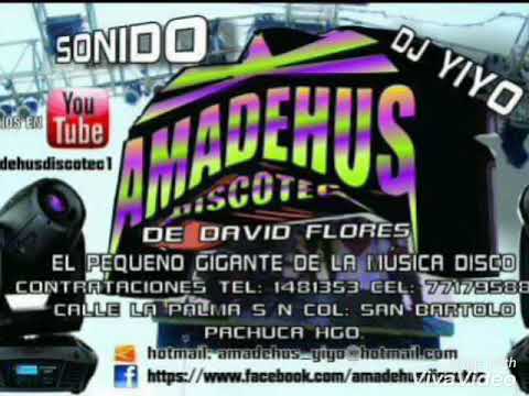 LA DISCO MOVIL AMADEHUS ( HARD HOUSE  POOGIE MEETS ZEPPLIN )