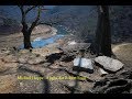 Michael Hoppe  : Flight, for Robert Frost