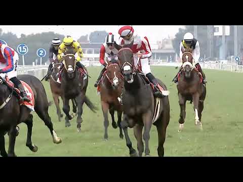 ARAGOSTA - WORLD SPORTS BETTING SA DERBY (Grade 1)