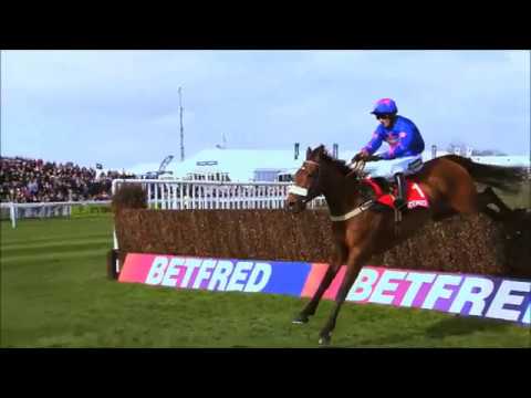 Cue Card Tribute -  Written In The Stars