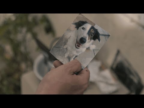 Videoclip de Mi Tensión — La Vela Puerca