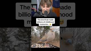 Download lagu The Bird That Made So Many Childhood Memories! 😱 #shorts mp3 Download lagu The Bird That Made So Many Childhood Memories! 😱 #shorts mp3