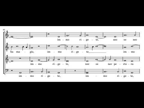 Willaert: Flete oculi - Dionysos Now