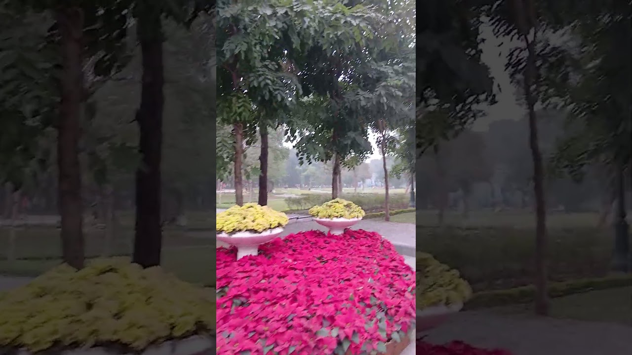 하노이 통일공원?관광객 거의 없고 현지인들 산책