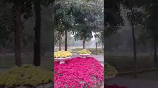 하노이 통일공원?관광객 거의 없고 현지인들 산책