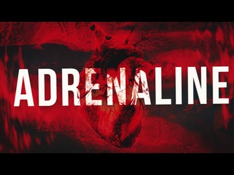 Jebroer, Dutch Movement & Outsiders - Adrenaline (Official Lyric Video)