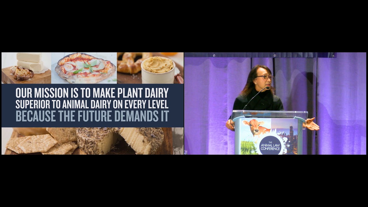 Healthy, Kind, and Sustainable Alternatives to Eating Animals: Law, Policy, and Food Culture