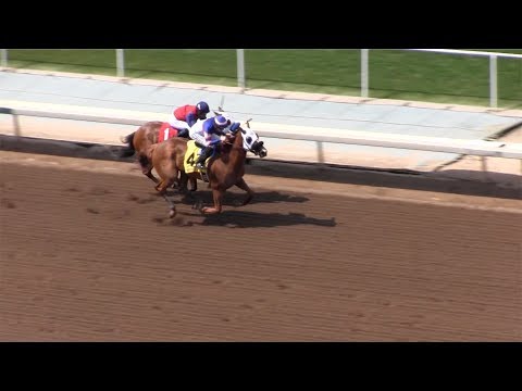 S Y Sky wins Melair Stakes