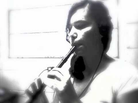 My Heart Will Go On - Titanic Tin Whistle Cover