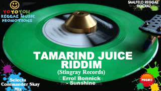 Tamarind Juice Riddim Mix [March 2012] [Mix April 2012] Stingray Records