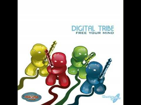 Digital Tribe vs Red Sun - E-Voice (live mix).avi