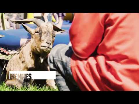 FC-Renntag - Carl Jaspers Preis 2022 - Teaser