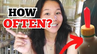 BOTTLE FEEDING SCHEDULE For Baby Goats |Pagpapadede ng Kambing