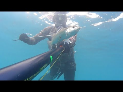 Pescasub: TRAMONTO DI GENNAIO #spearfishing
