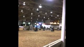 Lynne's Winning Ride