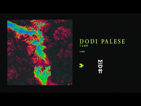 Dodi Palese - TSWR