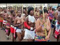 Traditional Dance Zulu Dance Preparation Les Préparatifs Des Compétitions De Dances Des Zouloues
