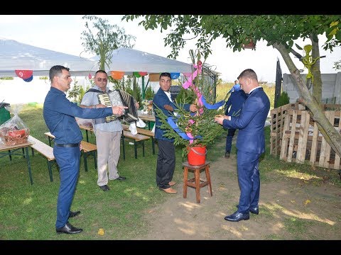 04 TRADITII   -   Bradul mirelui   -   Nunta Live !