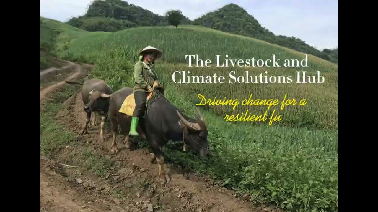 IUCN、気候変動対策における野生動物の不可欠な役割を正式承認、政策への反映を要請