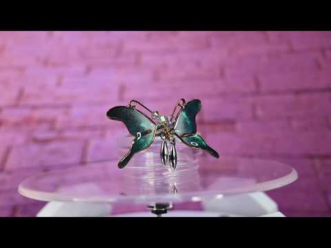 normal model , feeling of rising pleasure