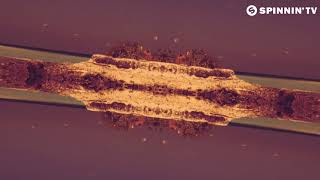 Sander van Doorn   Mant Array