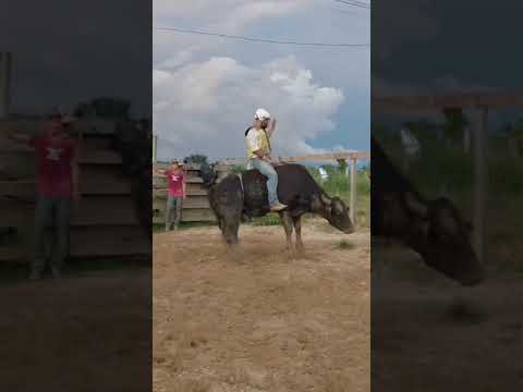 DANILO RIBEIRO  DE XAPURI ACRE 🇬🇫
